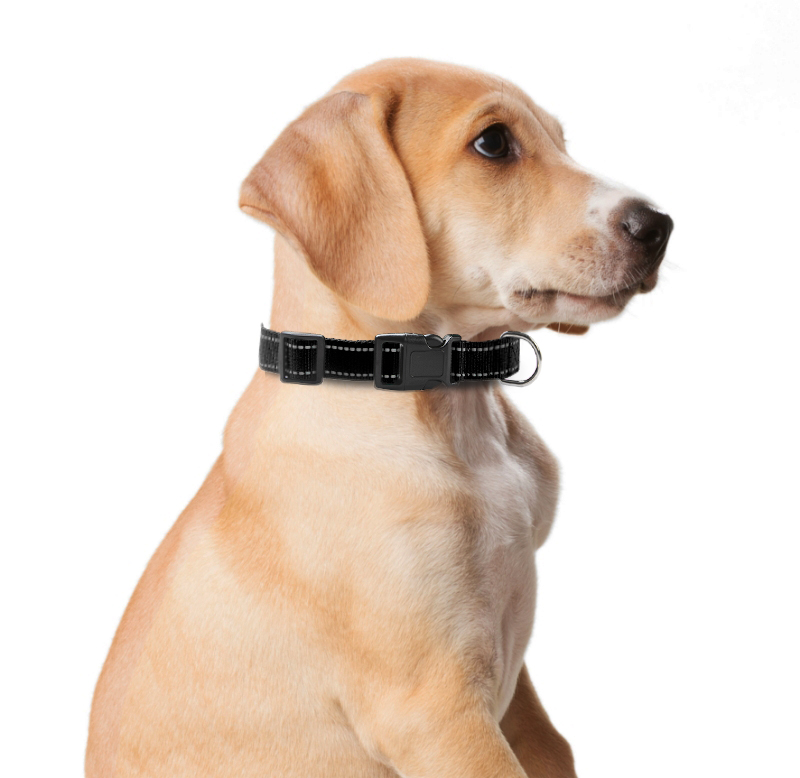 Reflective Dog Collar for Small,Medium, and Large Dogs,Ajustable Nylon Dog Collars with Quick Release Buckle