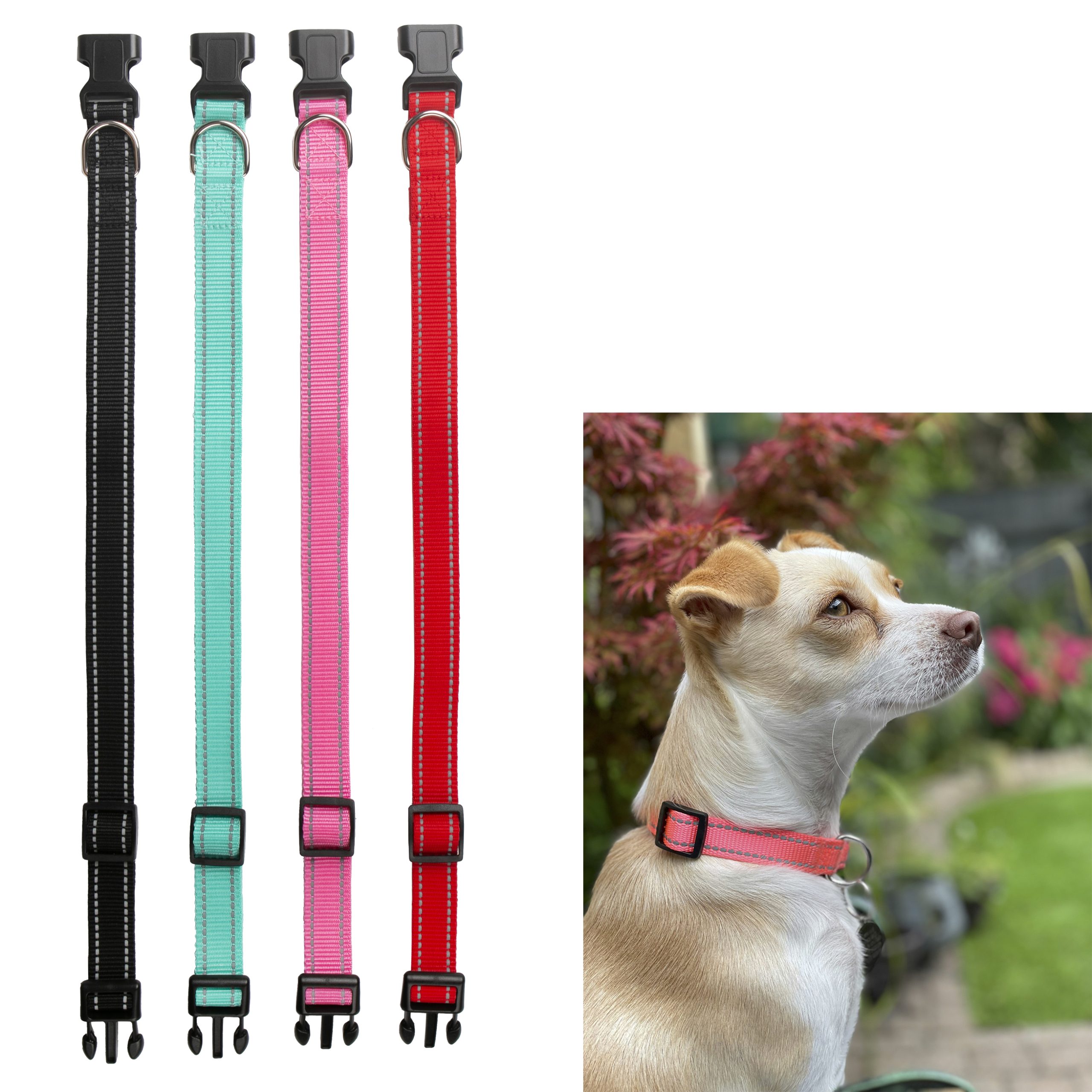 If that is convenient for him. We are in winter right now with lots of snow . Only GOOD Spirits